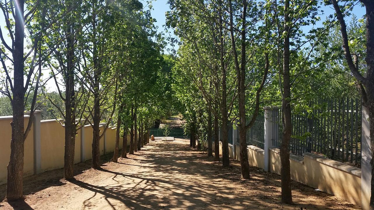 Amberhall Guesthouse 요하네스버그 외부 사진