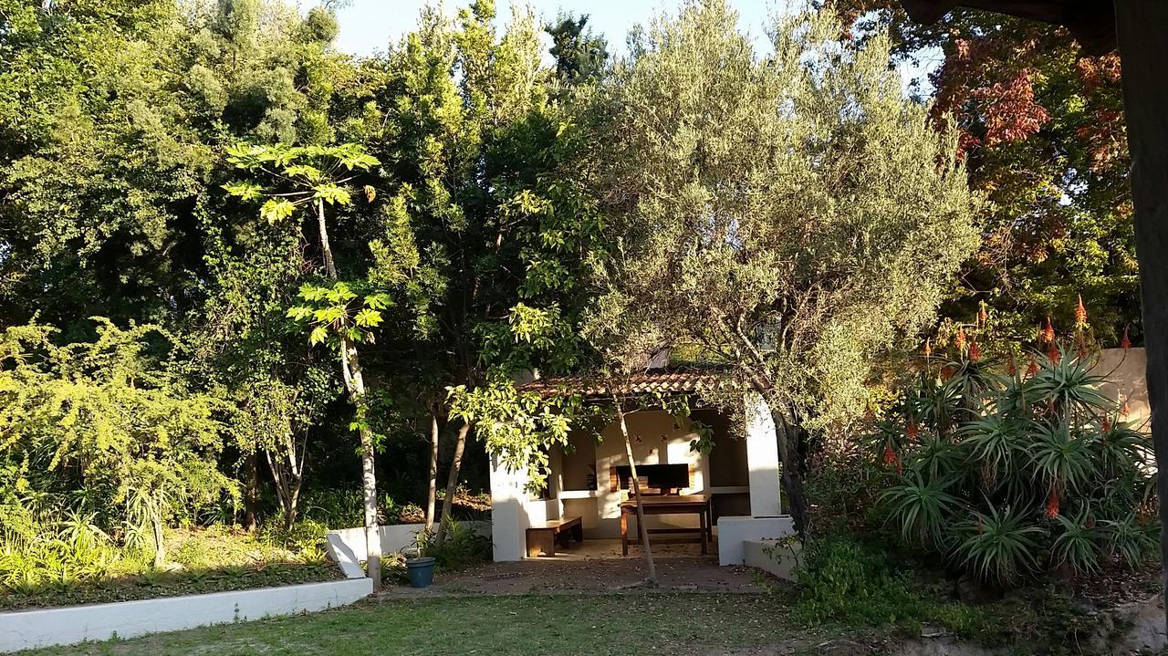 Amberhall Guesthouse 요하네스버그 외부 사진